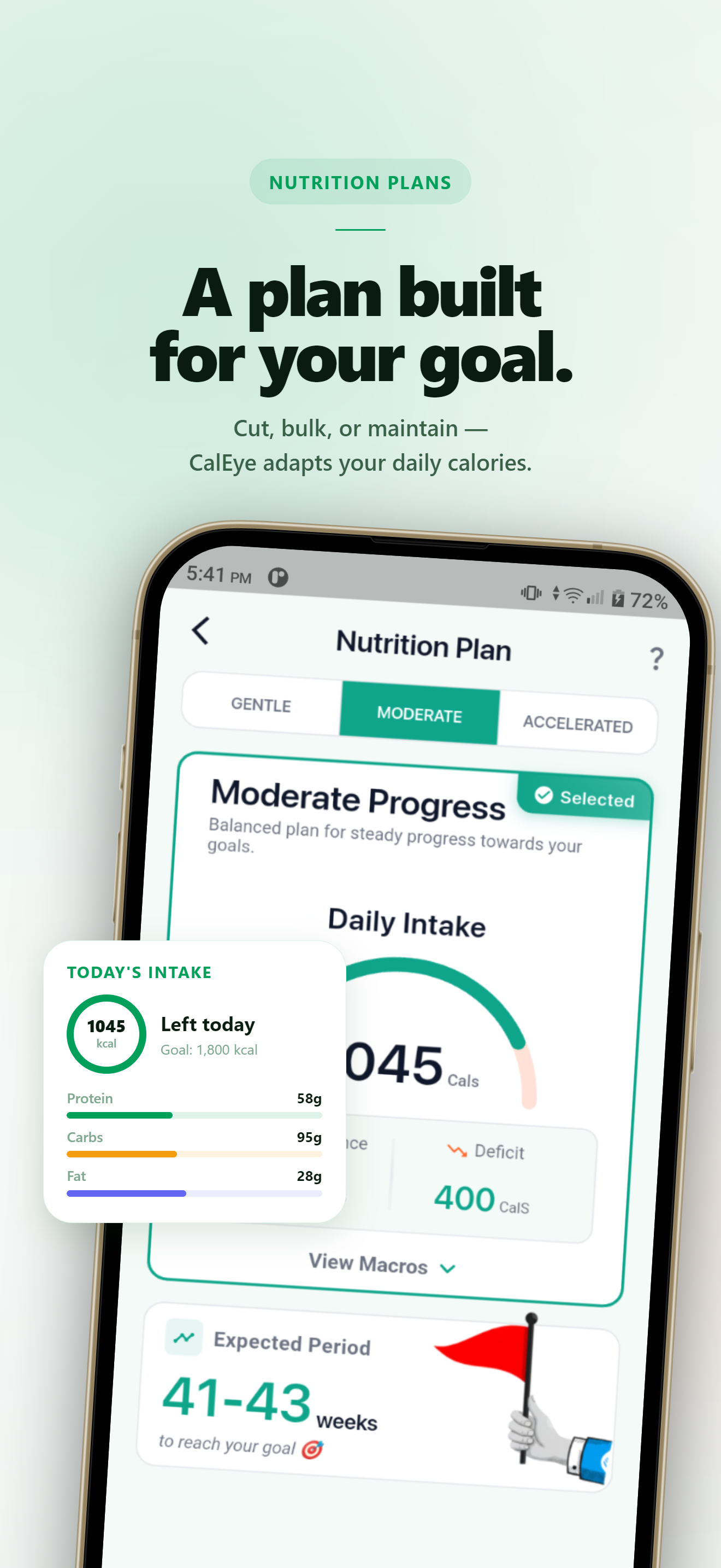 CalEye nutrition plan screen